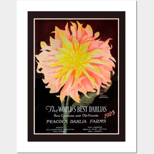 Peacock Dahlia Farms Catalogue 1925 Posters and Art